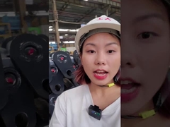 De Tuimelaarschacht van LGMC 40x140mm, Anticorroison-Tuimelaarspeld