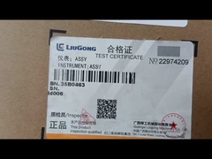 LIUGONG-INSTRUMENT ASSY